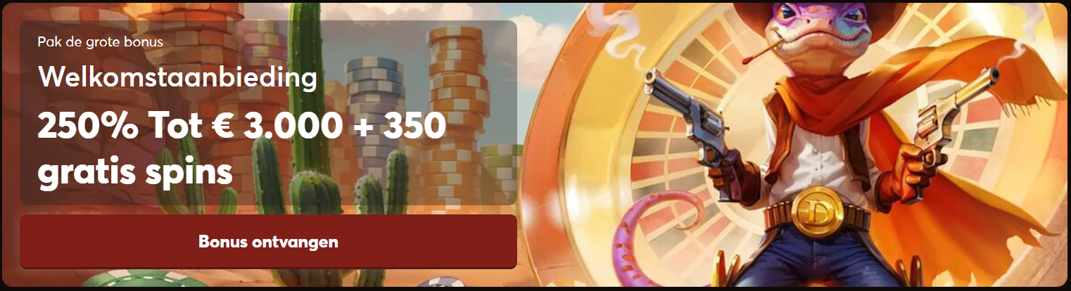 baner Lizaro Casino